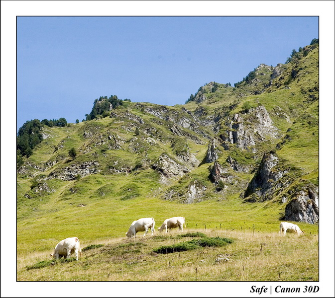 Sept 06 Tarbes - Ballade gaubie 37